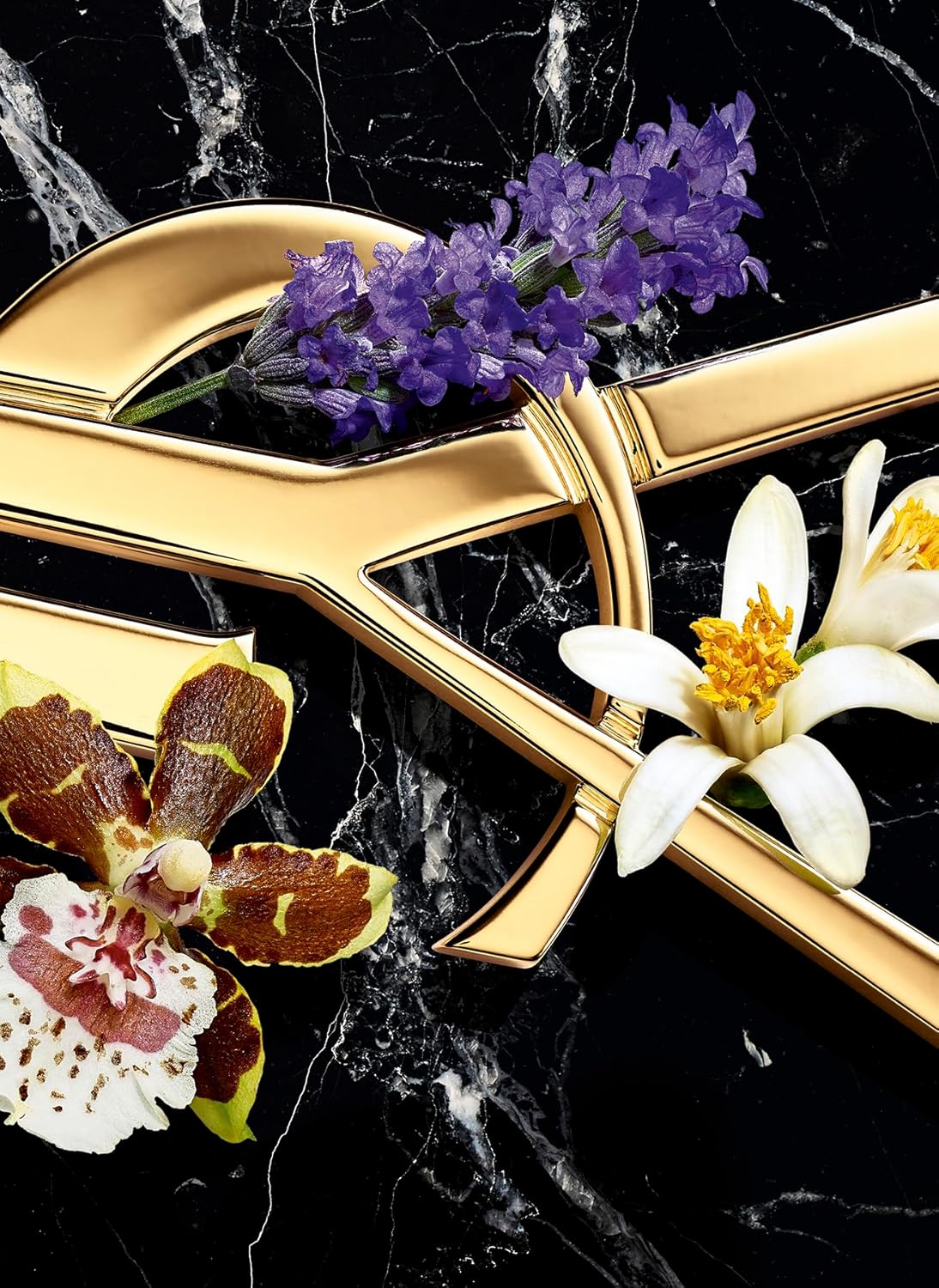 ايف سان لوران او دي بارفان انتنس للنساء من ليبر، 90 مل