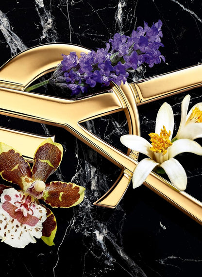 ايف سان لوران او دي بارفان انتنس للنساء من ليبر، 90 مل